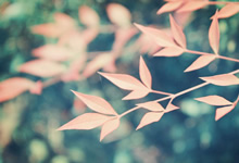 捷克队在场上展现自信