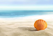 强队之间的较量让人期待不已，谁将称霸欧洲？