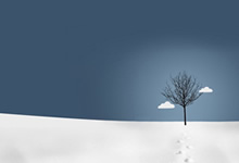 豪强进击连胜高潮，独领积分榜前驱绝对霸主