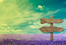 克里斯塔尔宫球员因伤退出比赛，对球队士气造成影响